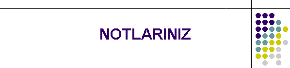 NOTLARINIZ